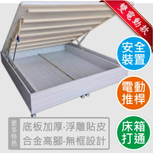 大一桶EZ雙推桿電動掀床